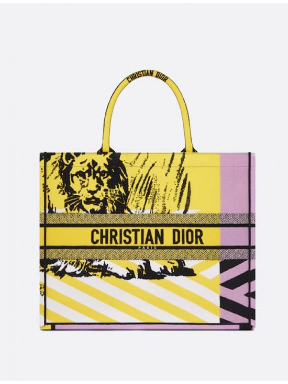 Сумка Christian Dior